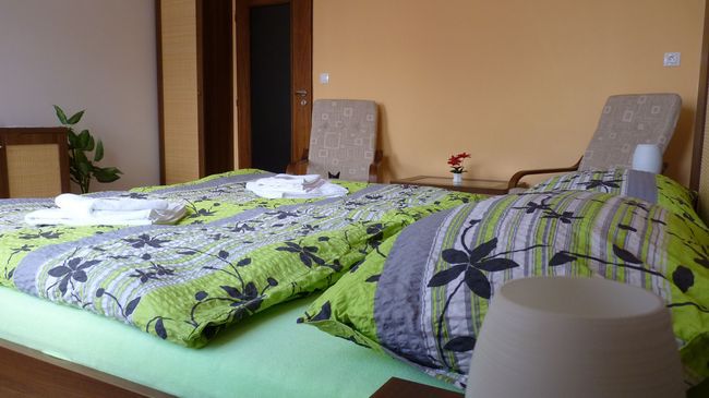 ホテル アート Písek 部屋 写真
