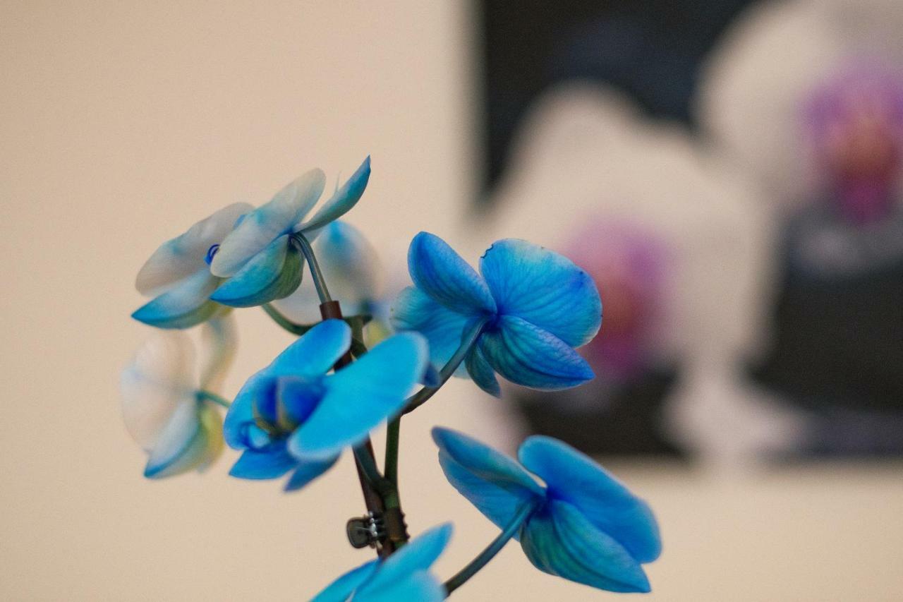 ホテル アート Písek エクステリア 写真